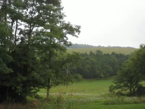 104 Brooks Ln, Georgetown, KY 40324 photo 5