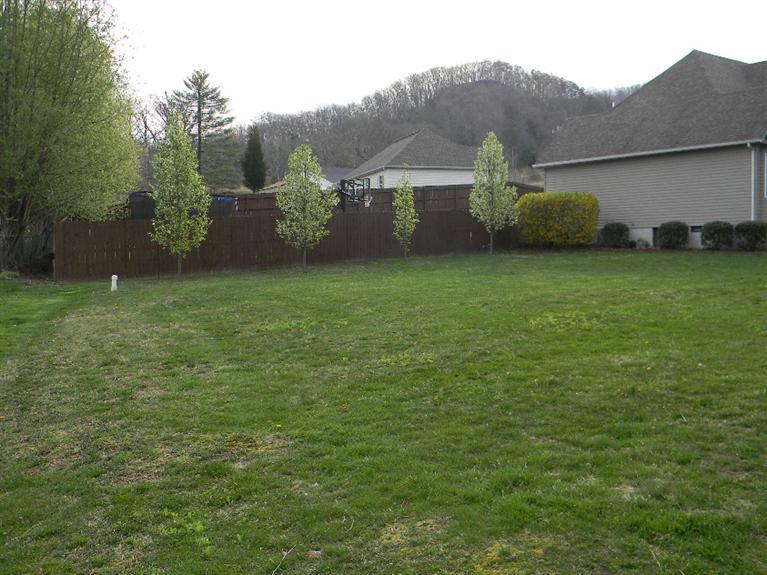 17 Abby Ct, Stanton, KY 40380 photo 9