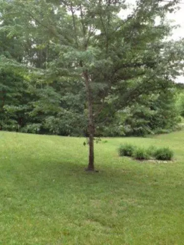128 Jonance, Berea, KY 40403 photo 14