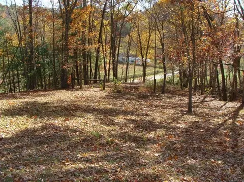 6535 Bull Frk, Morehead, KY 40351 photo 10