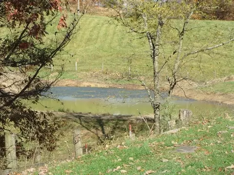 6535 Bull Frk, Morehead, KY 40351 photo 7