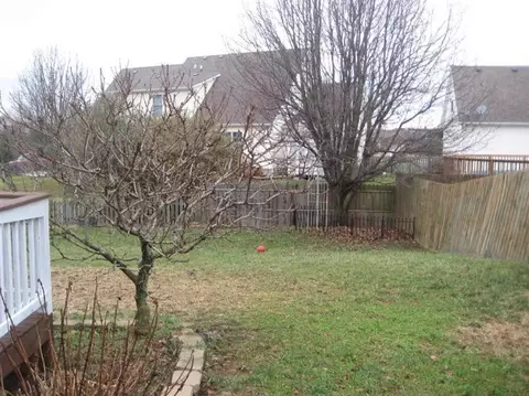 381 Eureka Rd, Versailles, KY 40383 photo 29