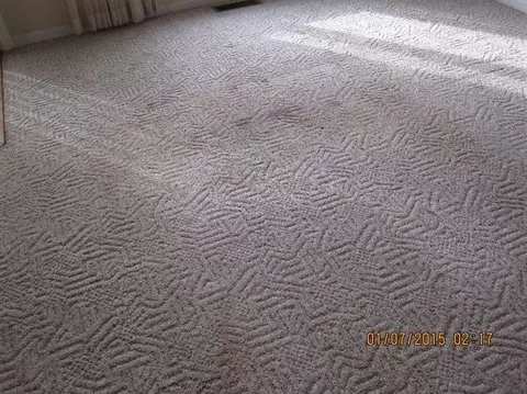 103 Coachman Pl, Georgetown, KY 40324 photo 7