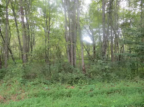 410 Tower Rd, Corbin, KY 40701 photo 7
