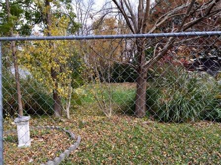 104 Bell Rd, Middlesboro, KY 40965 photo 6