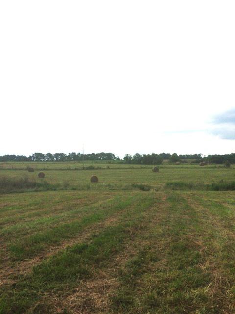 205 Squires Pointe Rd, Paris, KY 40361 photo 1