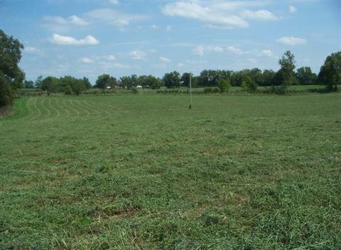 148 Grable Ln, Georgetown, KY 40324 photo 3