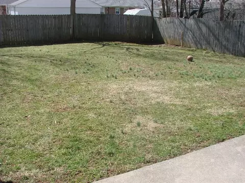 202 Independence Ct, Georgetown, KY 40324 photo 19