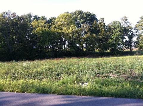 105 Grable Ln, Georgetown, KY 40324 photo 3
