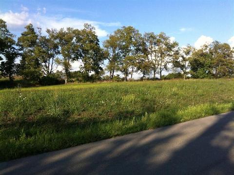 105 Grable Ln, Georgetown, KY 40324 photo 4