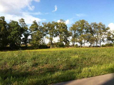 105 Grable Ln, Georgetown, KY 40324 photo 1