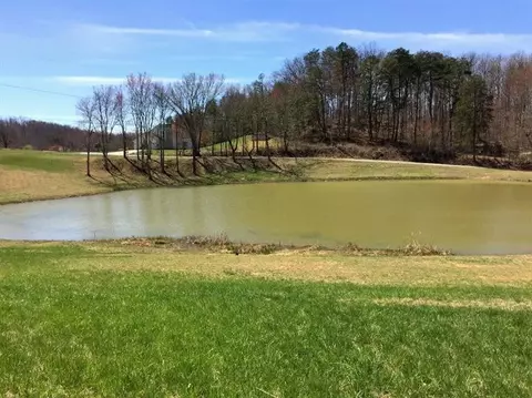 293 Vine View Dr, Corbin, KY 40701 photo 43