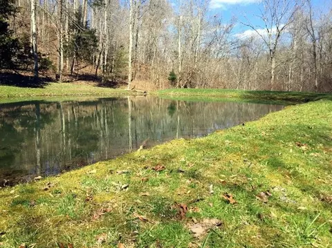 286 Bates Ln, Irvine, KY 40336 photo 71