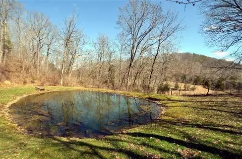 286 Bates Ln, Irvine, KY 40336 photo 41