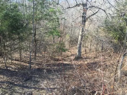 286 Bates Ln, Irvine, KY 40336 photo 63