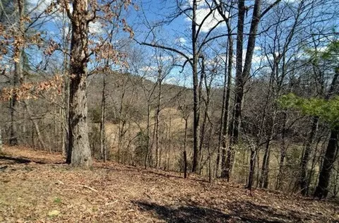 286 Bates Ln, Irvine, KY 40336 photo 44