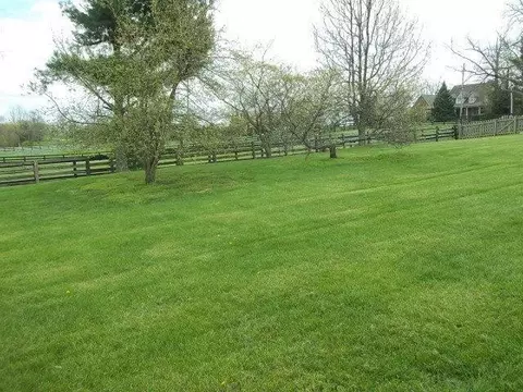 165 Austerlitz Rd, Paris, KY 40361 photo 22