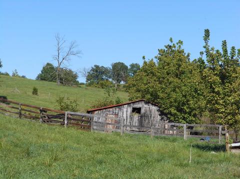 955 Sharp Rd, Stamping Ground, KY 40379 photo 2