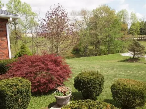 153 Roy Jenkins Rd, Corbin, KY 40701 photo 51