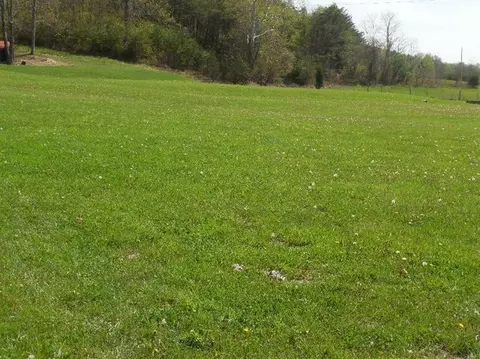 576 Red Lick Rd, Berea, KY 40403 photo 31