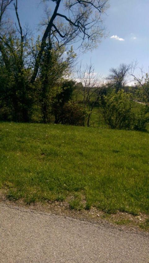 100 Forrest Path, Georgetown, KY 40324 photo 3