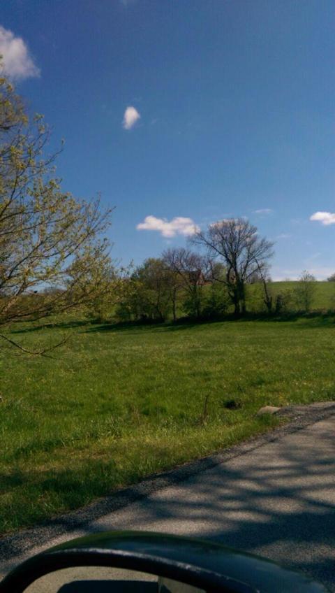 100 Forrest Path, Georgetown, KY 40324 photo 1
