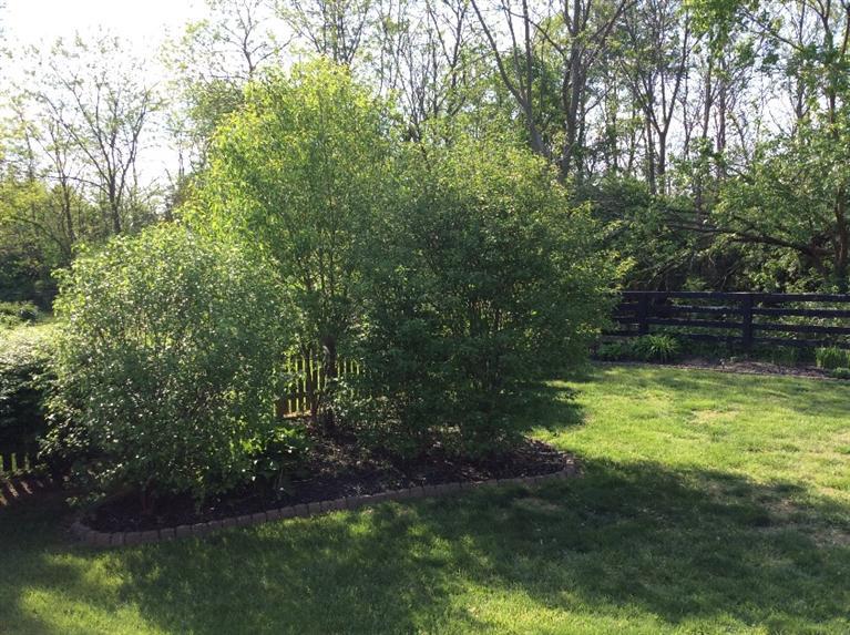 2019 Highland Ct, Lagrange, KY 40031 photo 11