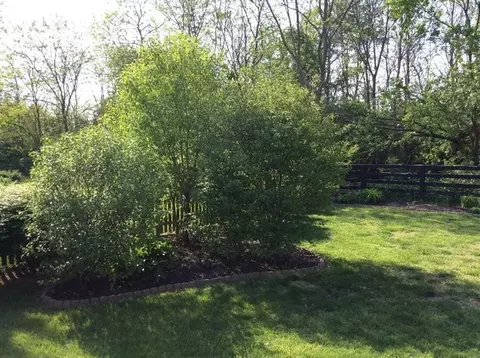 2019 Highland Ct, La Grange, KY 40031 photo 11