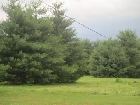 131 Eastern Ave, Lancaster, KY 40444 photo 11