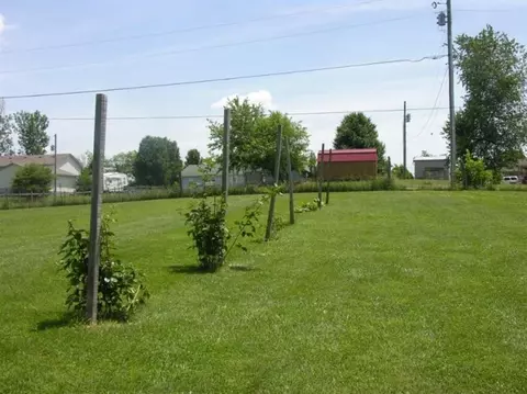 111 Springhill Way, Berea, KY 40403 photo 19