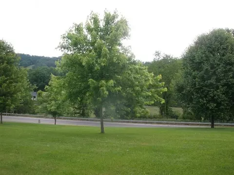30 Fairview Dr, Morehead, KY 40351 photo 47