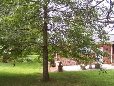 400 Talbott Dr, Wilmore, KY 40390 photo 18