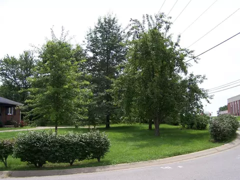 400 Talbott Dr, Wilmore, KY 40390 photo 5
