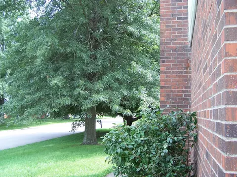400 Talbott Dr, Wilmore, KY 40390 photo 9