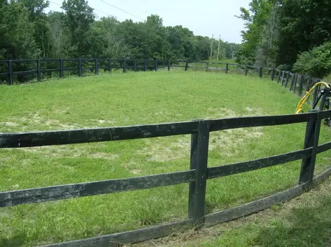 441 Crows Ridge Ln, Berry, KY 41003 photo 43