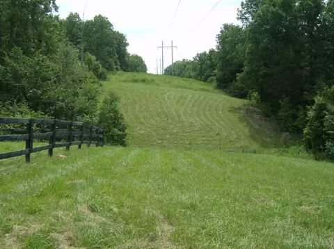 441 Crows Ridge Ln, Berry, KY 41003 photo 42