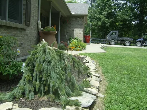 441 Crows Ridge Ln, Berry, KY 41003 photo 47
