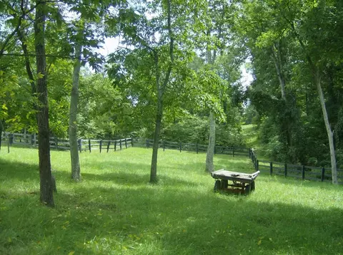 441 Crows Ridge Ln, Berry, KY 41003 photo 44