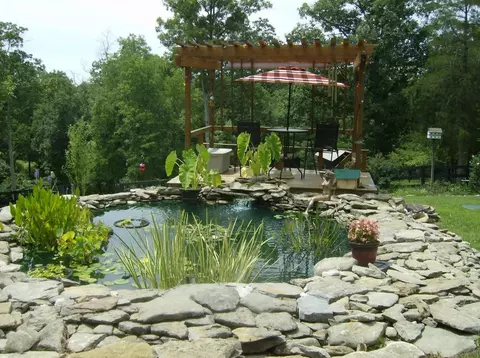 441 Crows Ridge Ln, Berry, KY 41003 photo 31