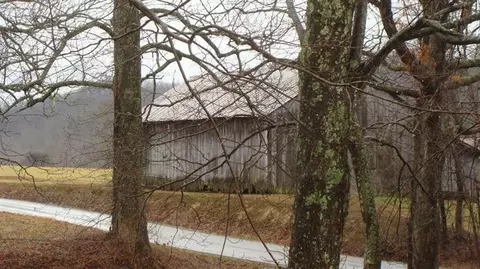 3875 Rock Fork Rd, Morehead, KY 40351 photo 65