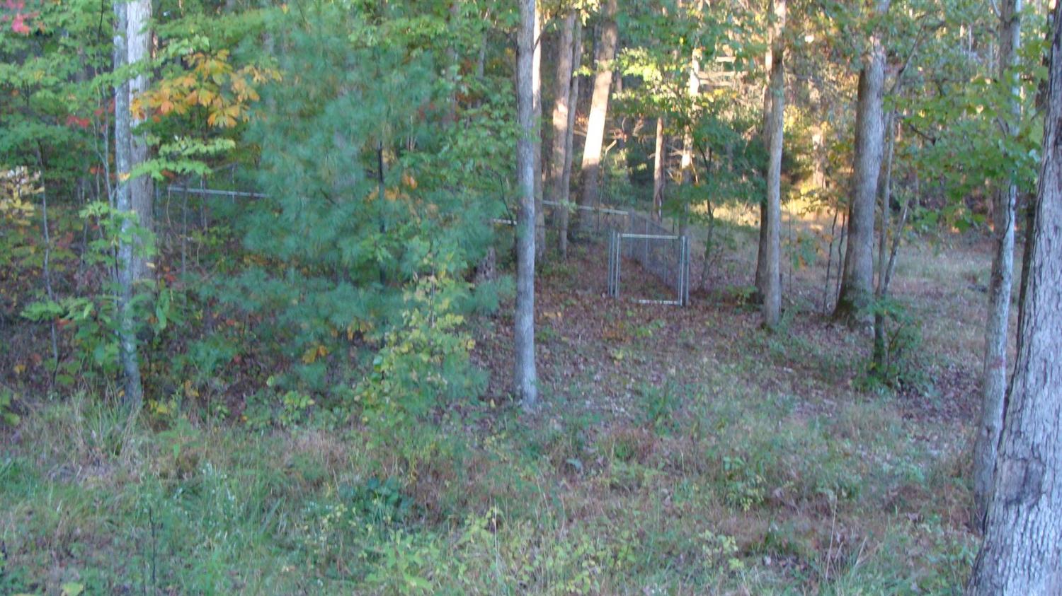 20 Indian Dr, Morehead, KY 40351 photo 55