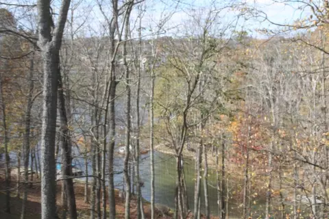 105 Eider Ct, Georgetown, KY 40324 photo 39