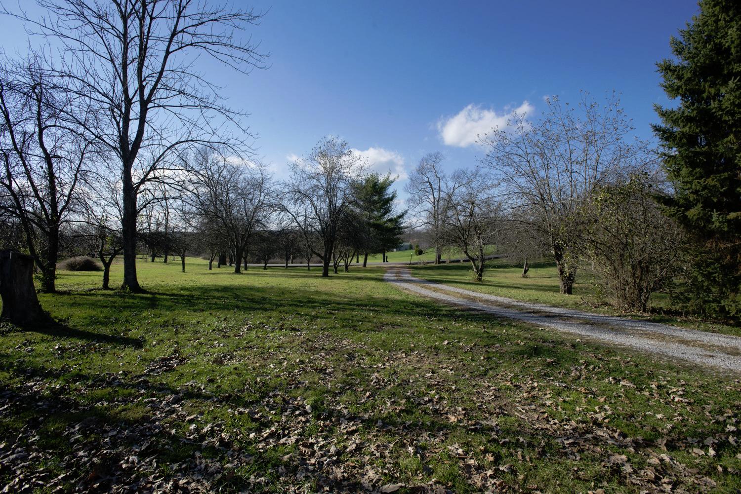 545 Sims Rd, Georgetown, KY 40324 photo 22