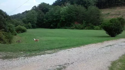 3377 Upper Long Branch Rd, Ezel, KY 41425 photo 60