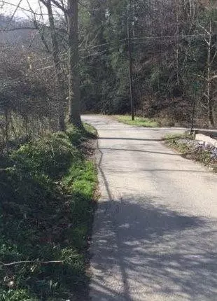 2140 Simms Fork Rd, Arjay, KY 40902 photo 12