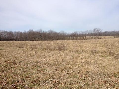 206 Johnson Mill Rd, Georgetown, KY 40324 photo 1