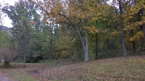 710 Red Lick Rd, Berea, KY 40403 photo 3