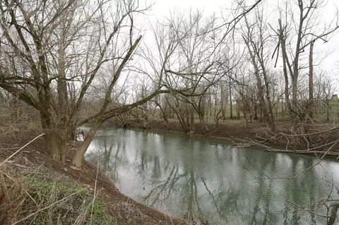 103 Amy Ln, Georgetown, KY 40324 photo 6