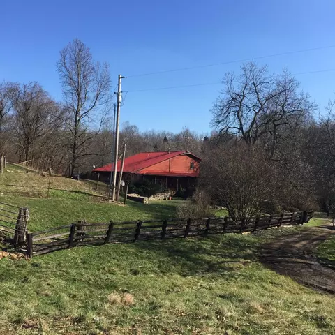 415 Bailey, Georgetown, KY 40324 photo 38