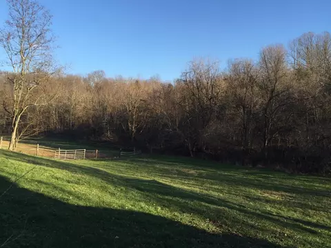 415 Bailey, Georgetown, KY 40324 photo 34
